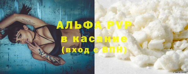 ГАЛЛЮЦИНОГЕННЫЕ ГРИБЫ Магас
