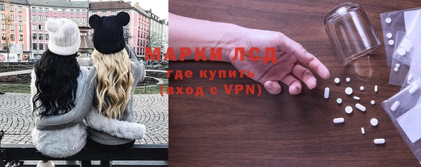 ГАЛЛЮЦИНОГЕННЫЕ ГРИБЫ Магас