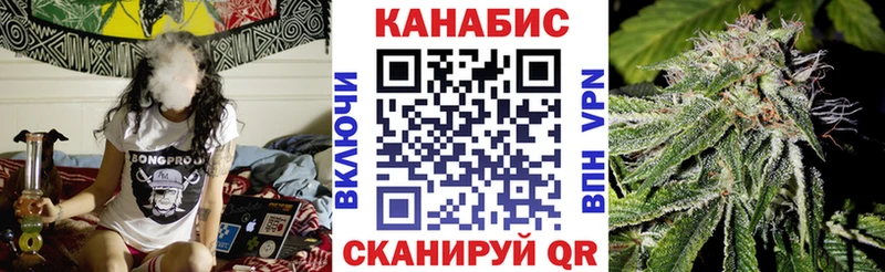 Каннабис сатива  Новосокольники 